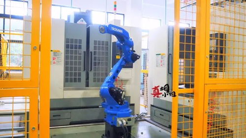 常州造星工廠 網絡工程鑄就本地小鮮肉崛起之路