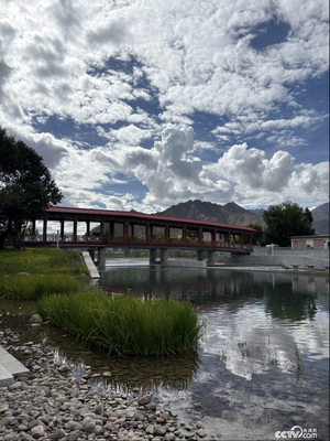 行走在高原之上 觸摸新時代幸福西藏的脈搏